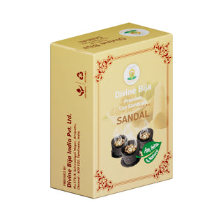 Cup Sambrani - Sandal